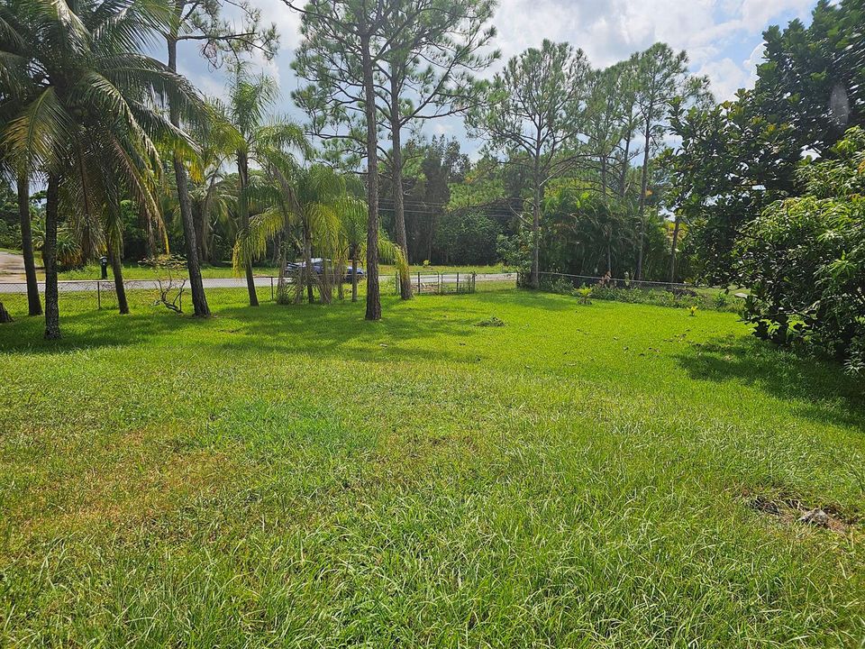 yard