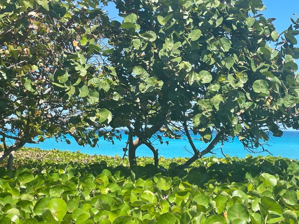 Jup Beach