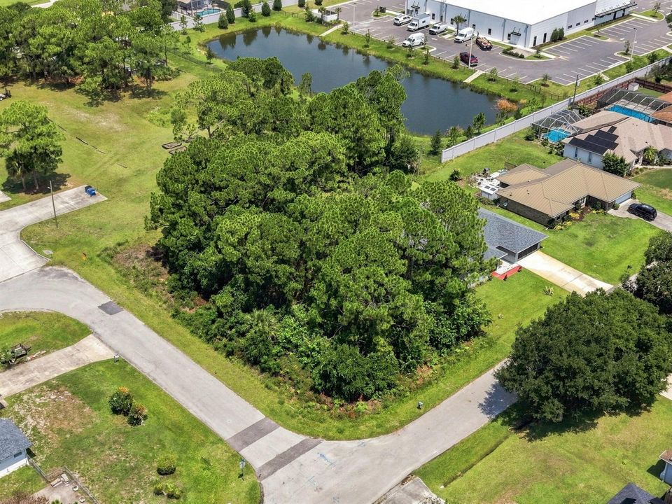 17-web-or-mls-Drone_Palm_Bay_Lot_006