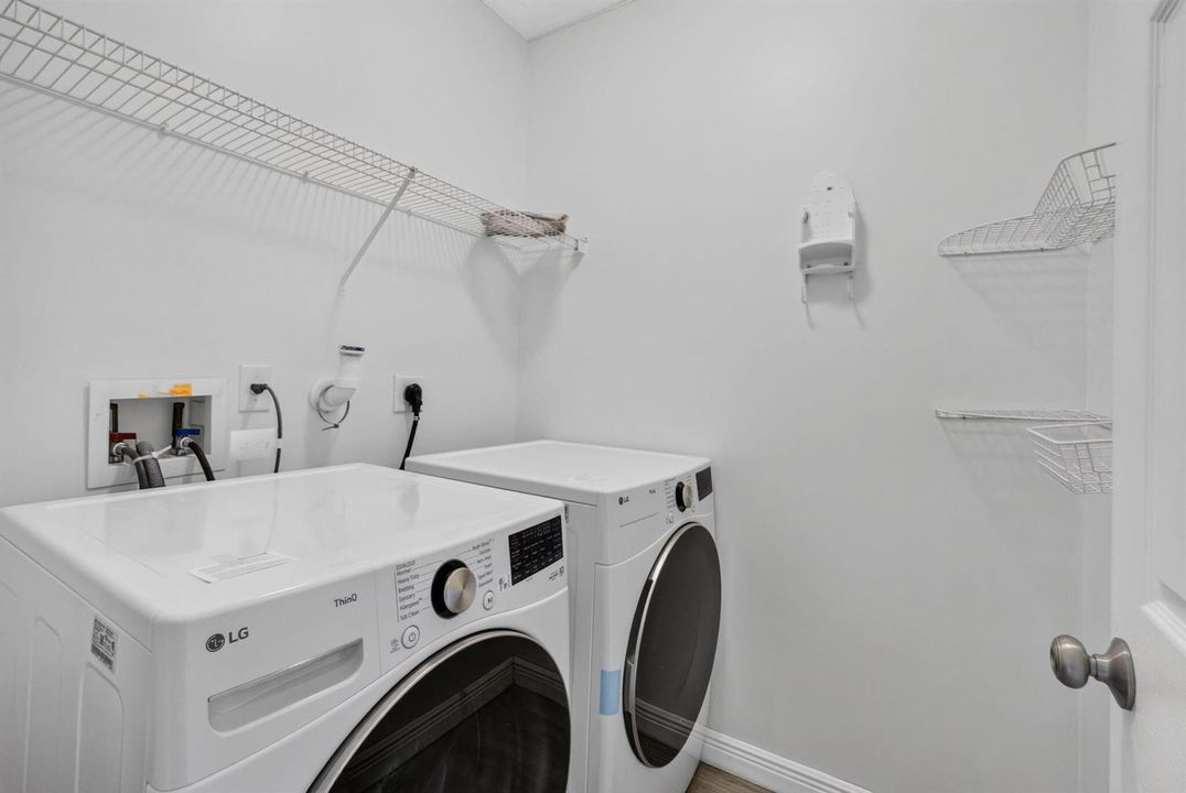 50-web-or-mls-5D1A8972