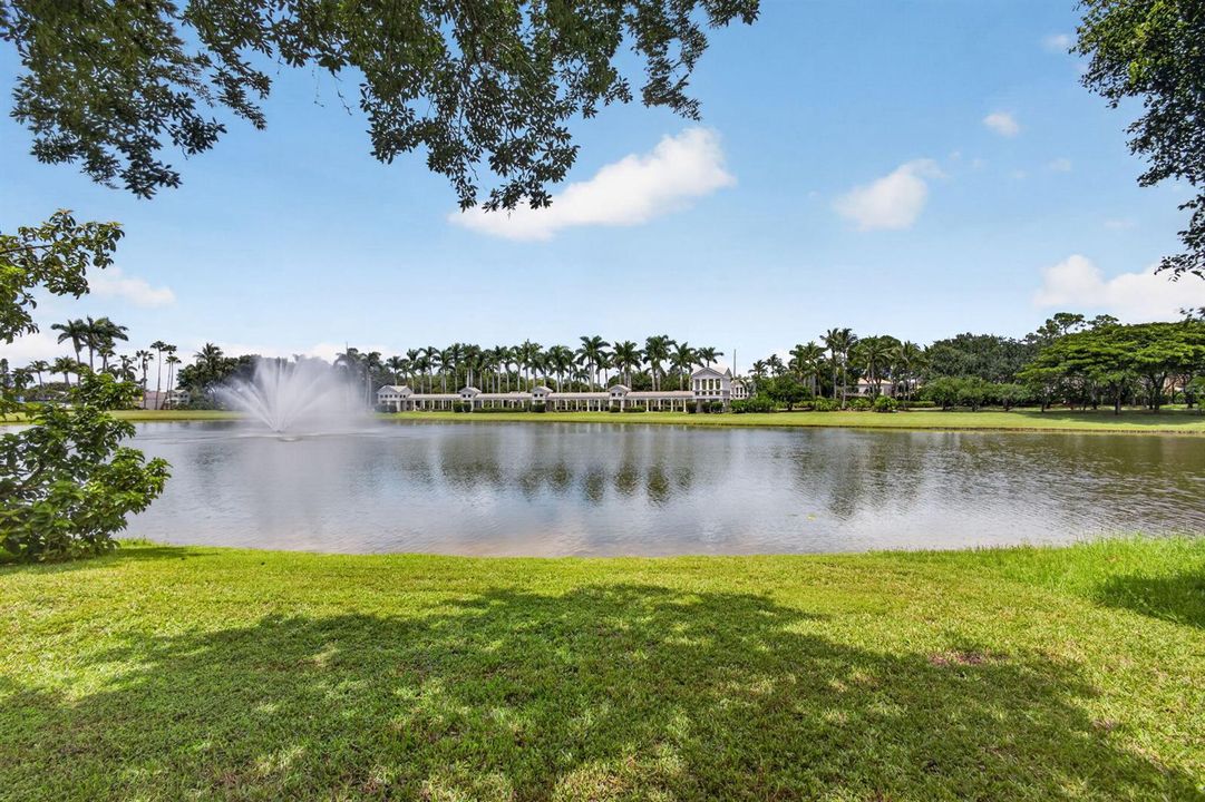 65-web-or-mls-5D1A8716