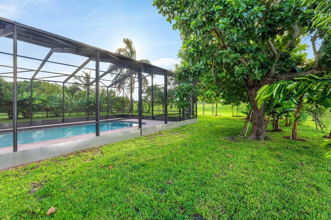 Rear Fenced Yard