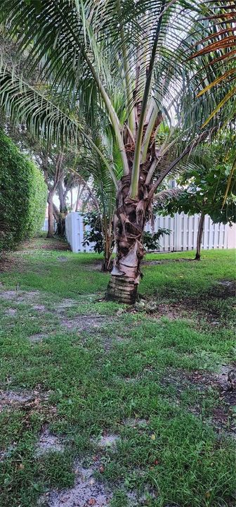 For Sale: $589,900 (3 beds, 2 baths, 1452 Square Feet)