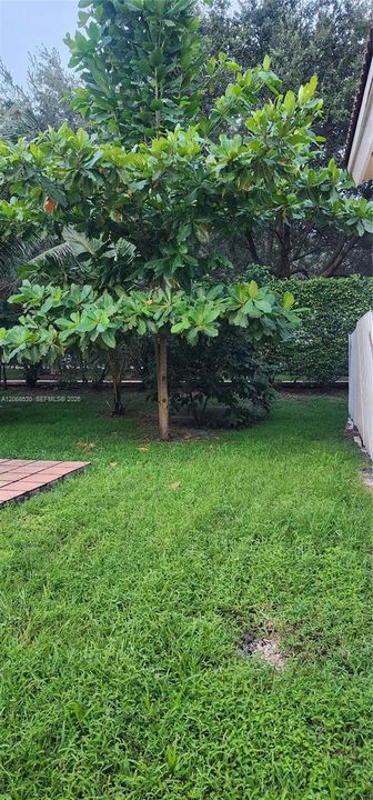 For Sale: $589,900 (3 beds, 2 baths, 1452 Square Feet)