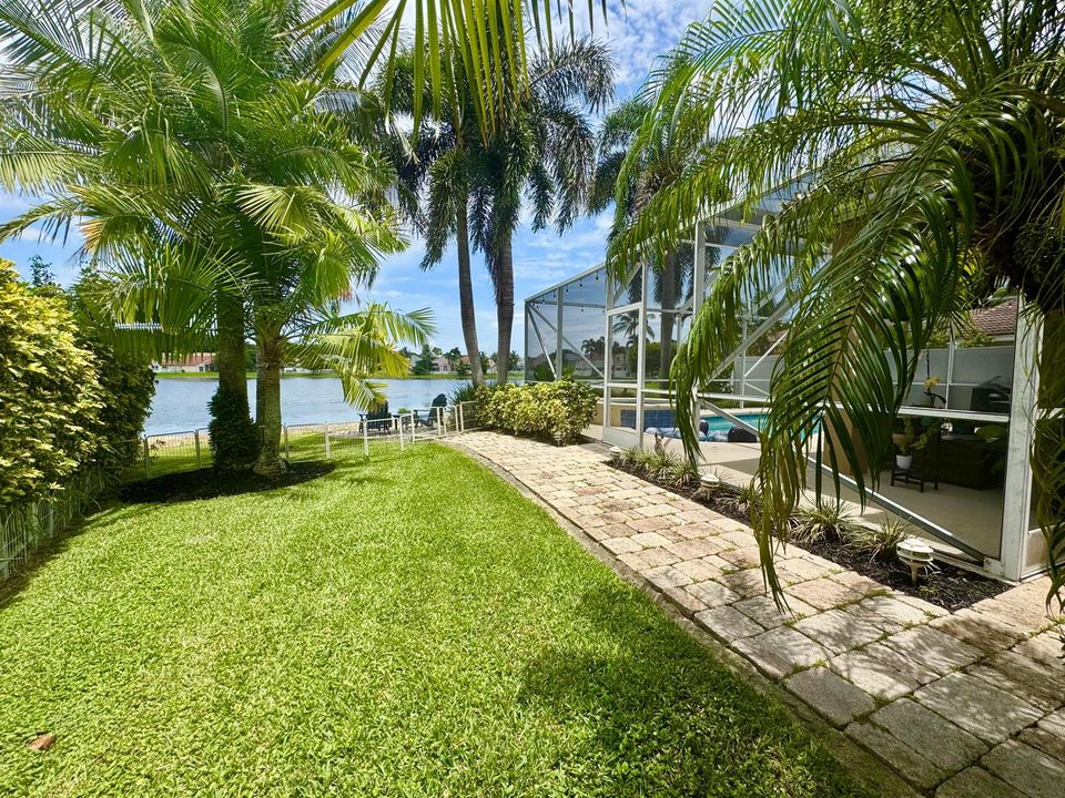 Check Out the Side Yard!