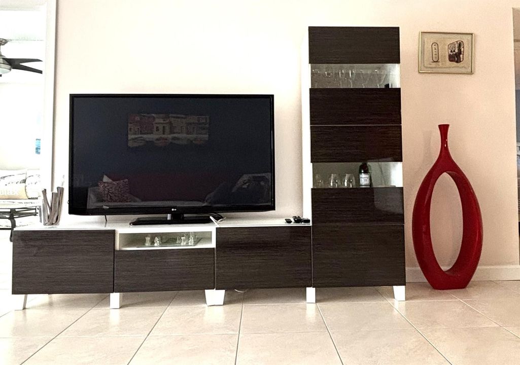 Living Room TV area