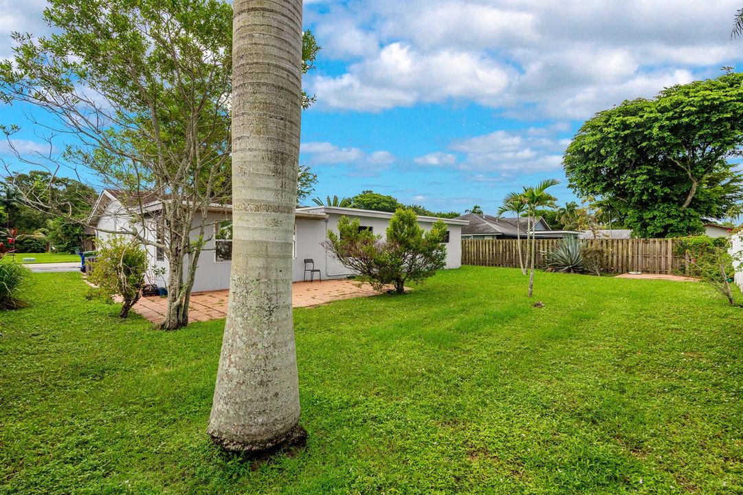 Backyard 2