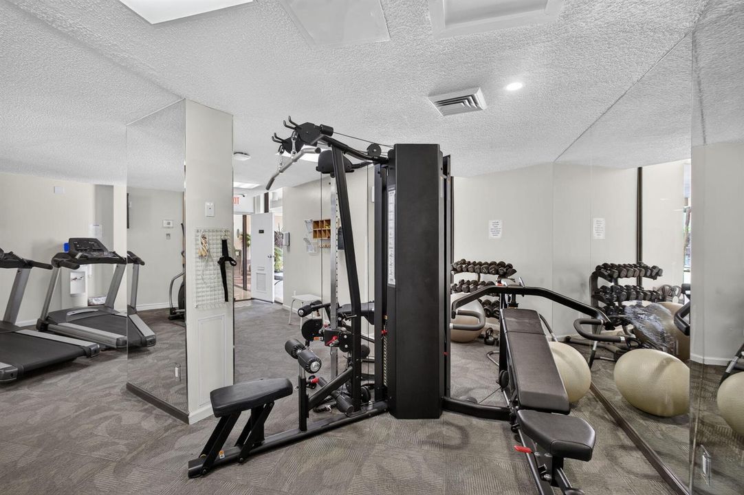 53-web-or-mls-5D1A4126