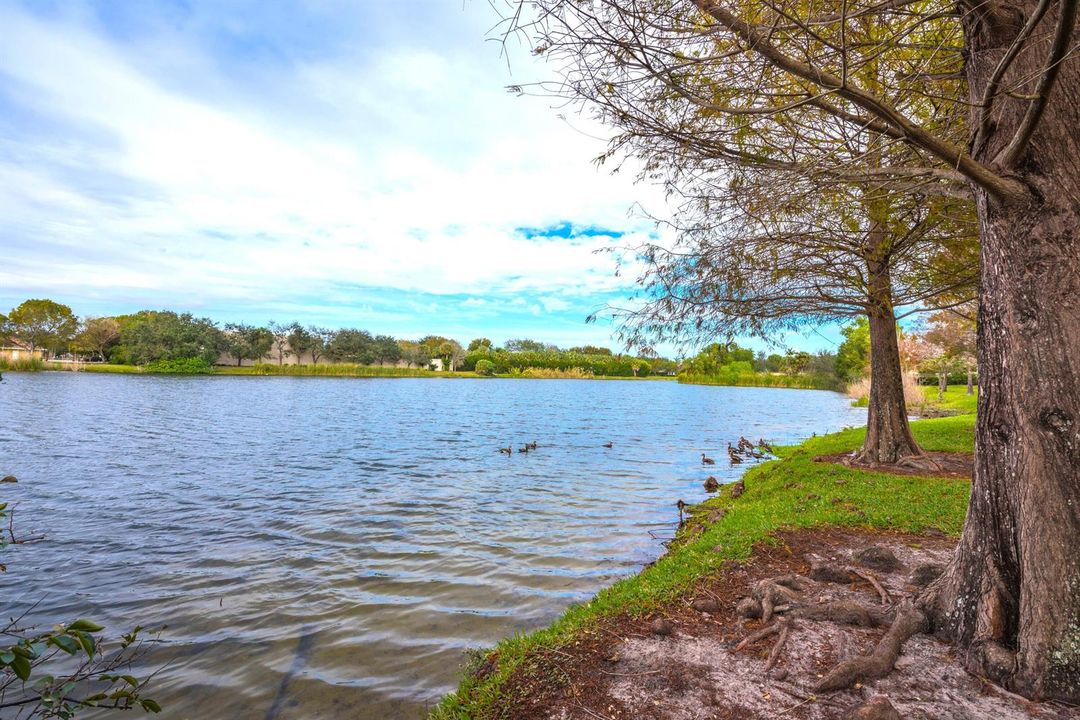 American Homes Park