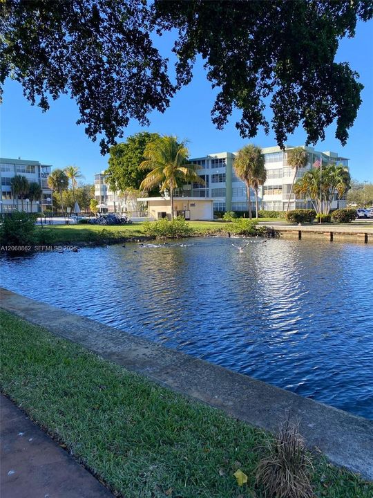 For Rent: $1,850 (1 beds, 1 baths, 780 Square Feet)