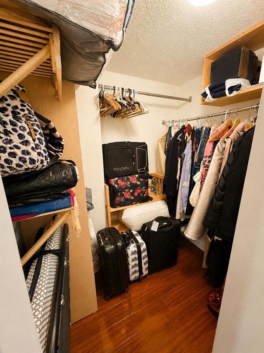 Walk in Closet 2