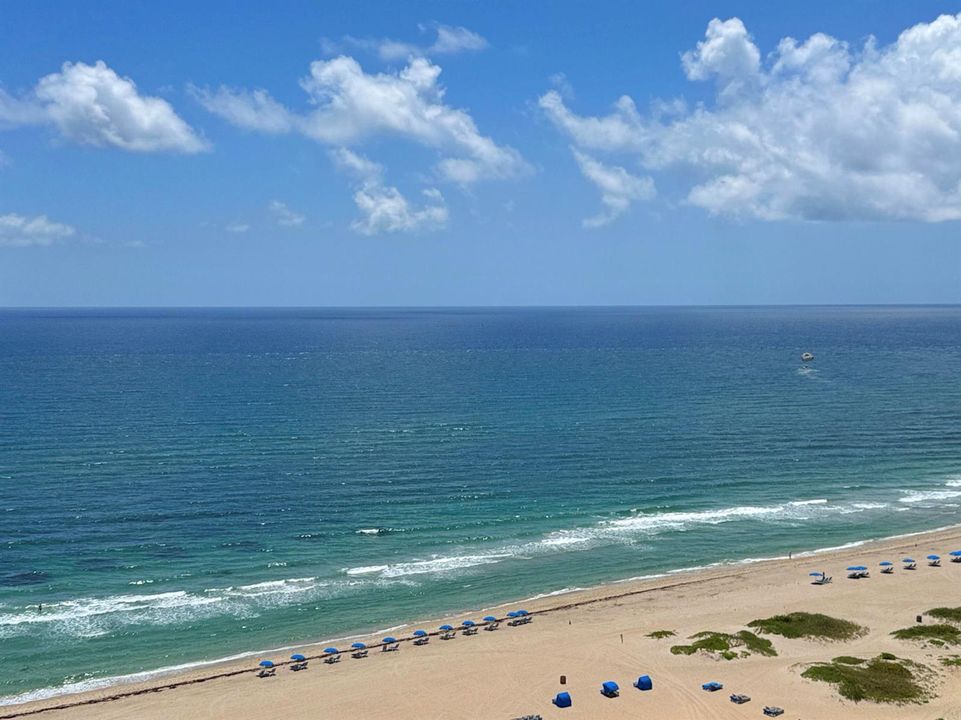 View from Unit