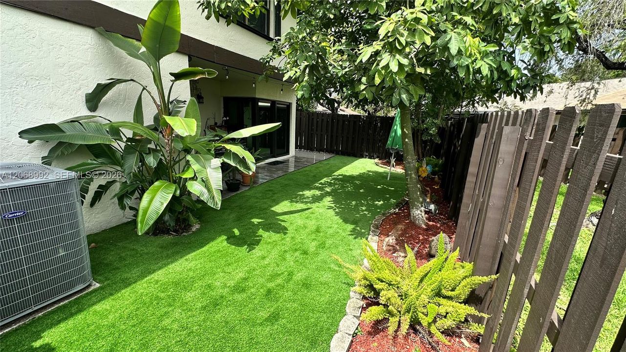 Back yard