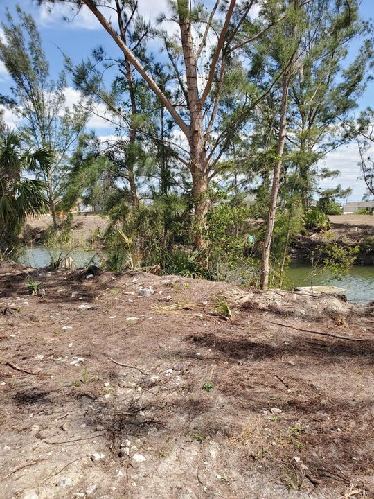 Cape Coral Lot 3
