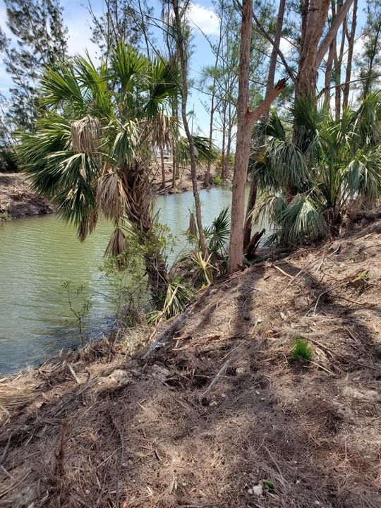 Cape Coral Lot 2