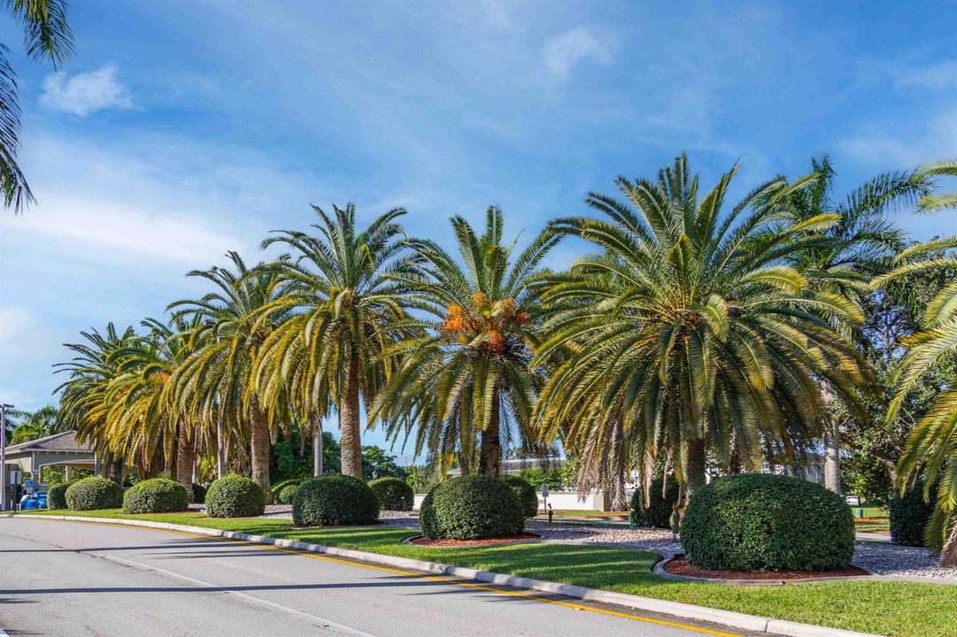 47-web-or-mls-Wynmoor 10-23-22-1-4