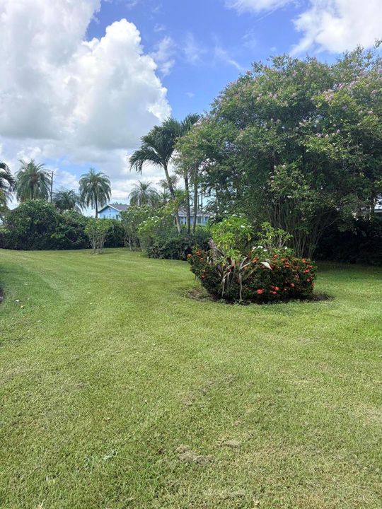 yard