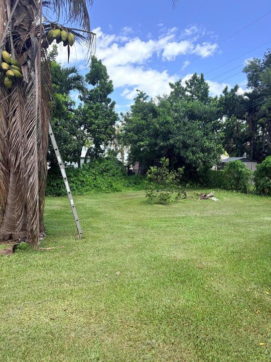 yard