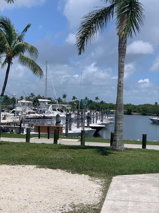 blackpoint marina