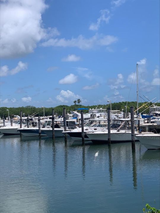 blackpoint marina