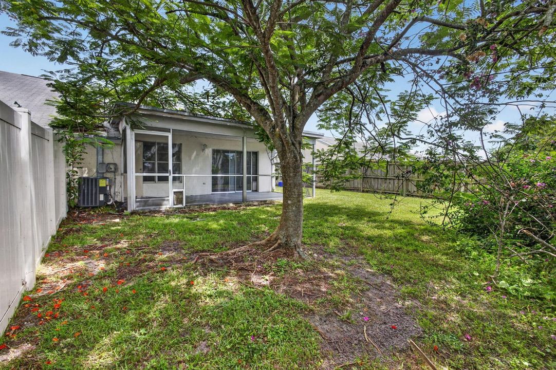 8-web-or-mls-5D1A5341