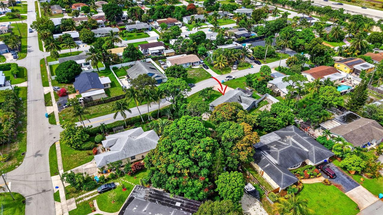 14-web-or-mls-DJI_20260804104806_0599_D
