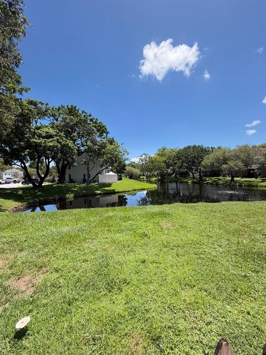 lake view