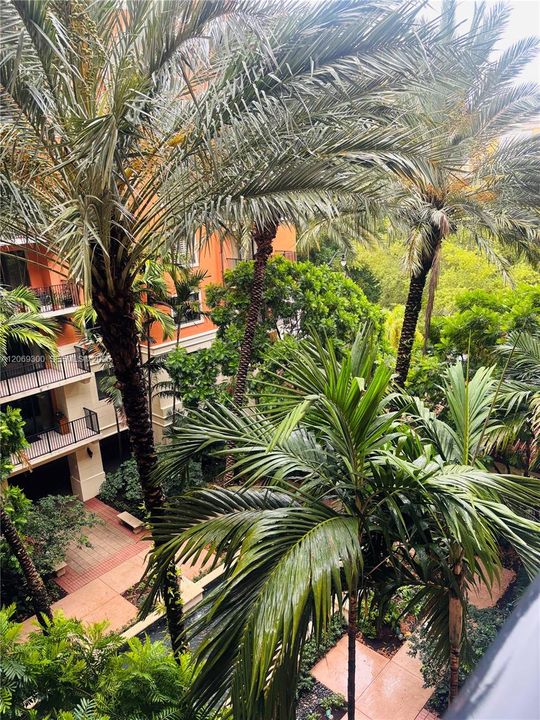 An Oasis in the middle of the City
