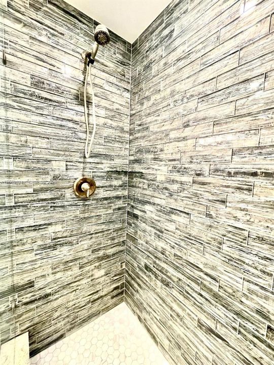 Master Bath Shower