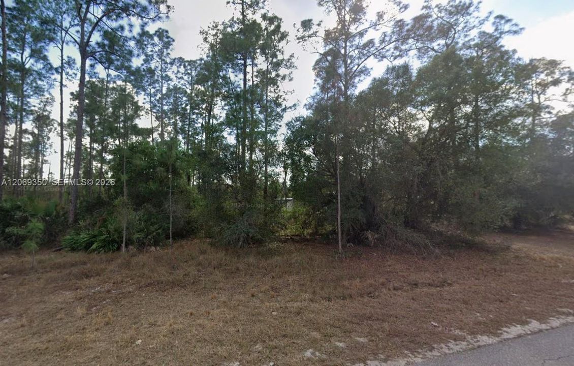 На продажу: $35,000 (0.25 acres)