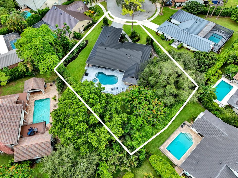 Lot Overview