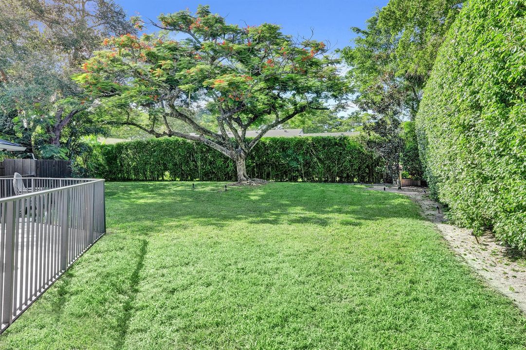 Lush Backyard