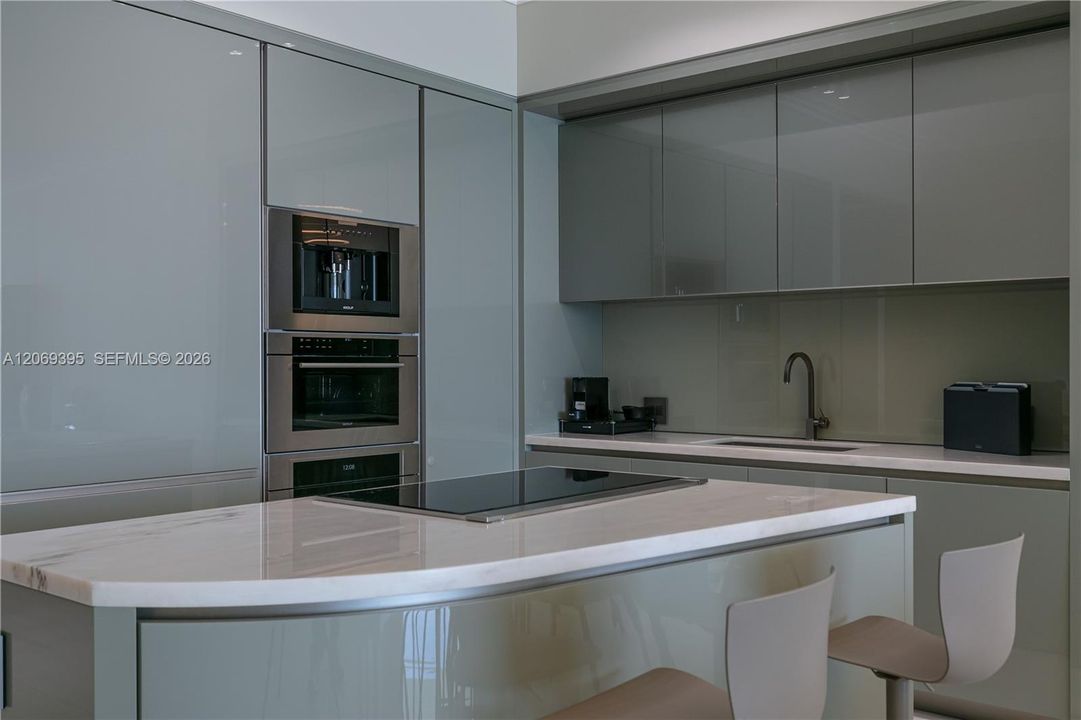 State of the Art Gourmet Kitchen
