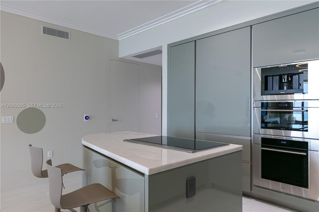 State of the Art Gourmet Kitchen