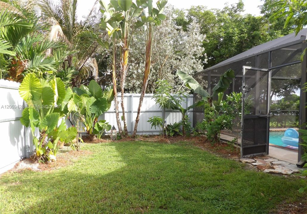 Expansive lawn area with a screened enclosure, mature tropical foliage, and a perimeter fence