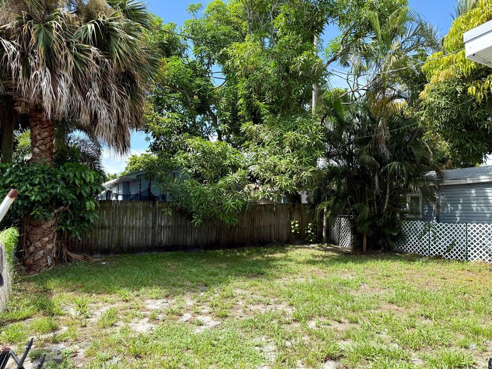 Backyard 2