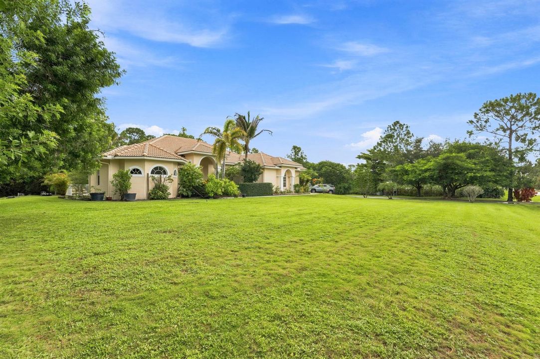 Front Yard