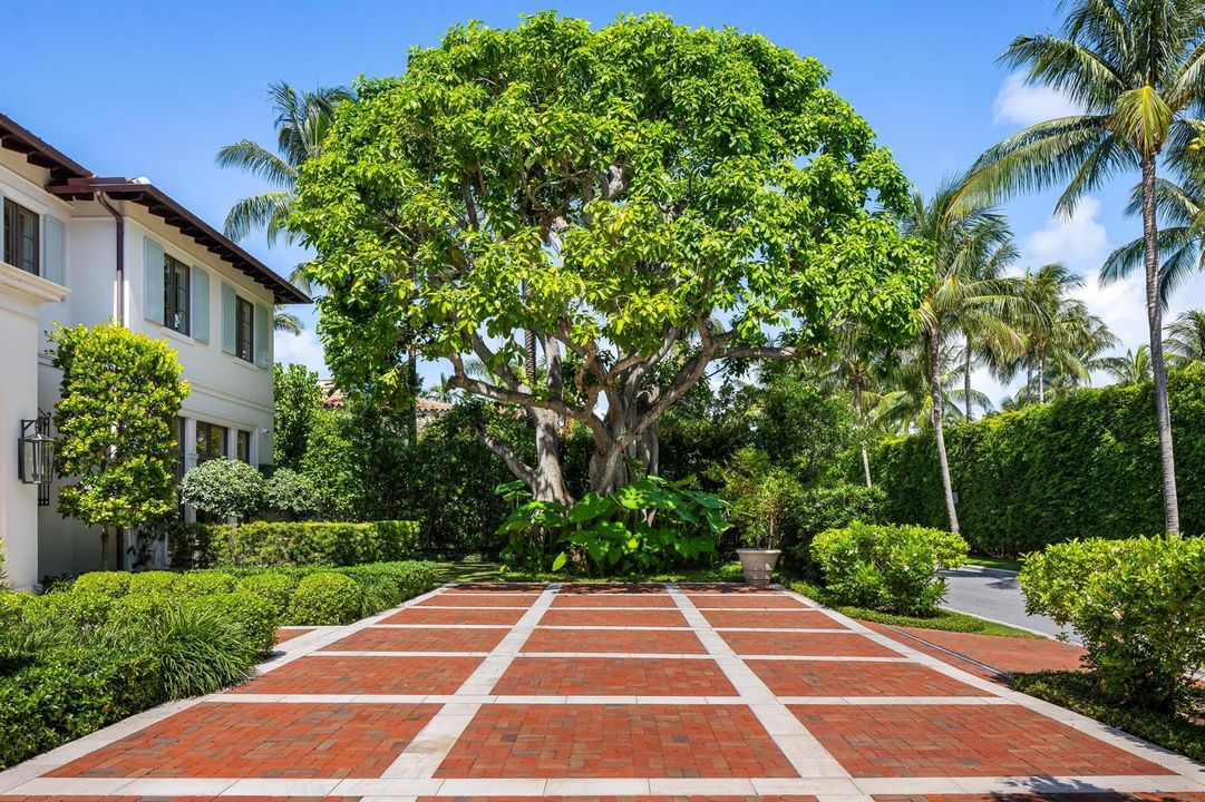 Front Driveway