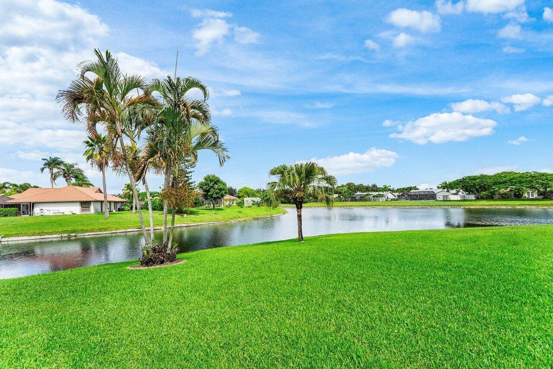 Water views