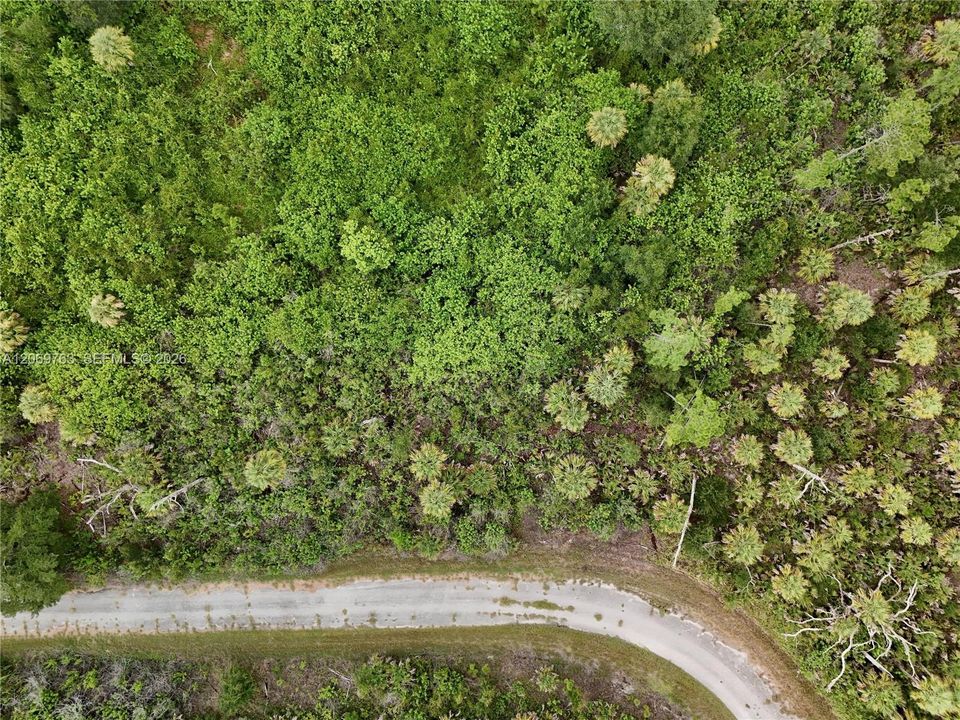 For Sale: $18,000 (0.24 acres)