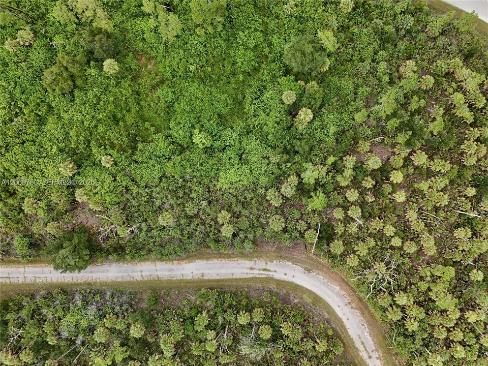 For Sale: $18,000 (0.24 acres)