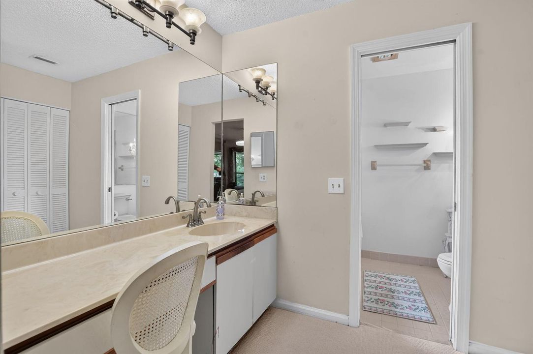 Primary Vanity