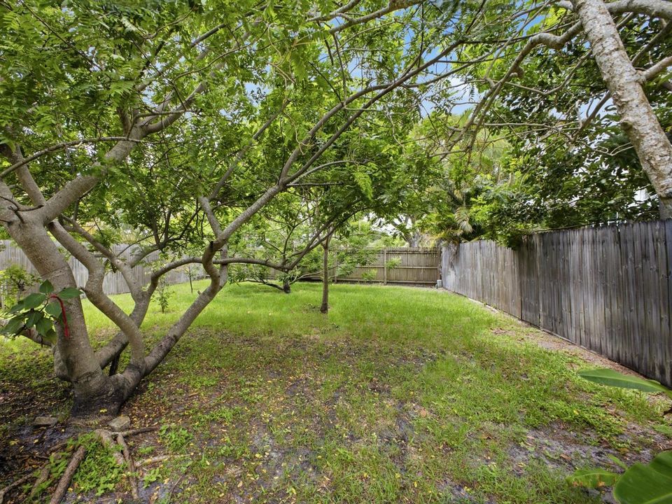 Backyard