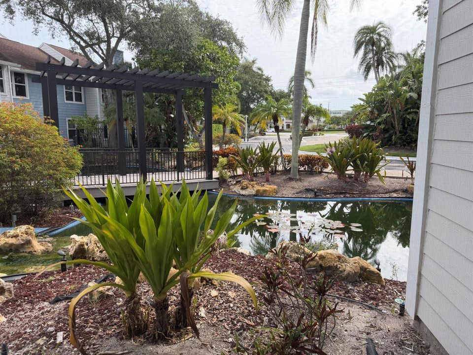 View of Pond