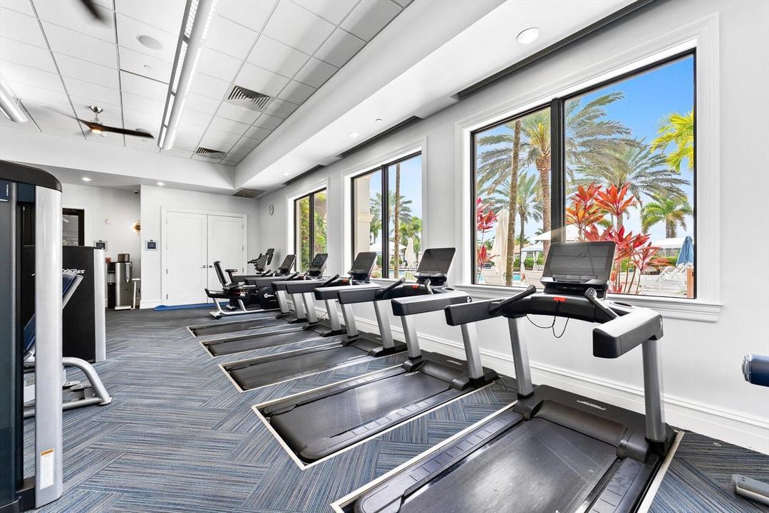 GYM