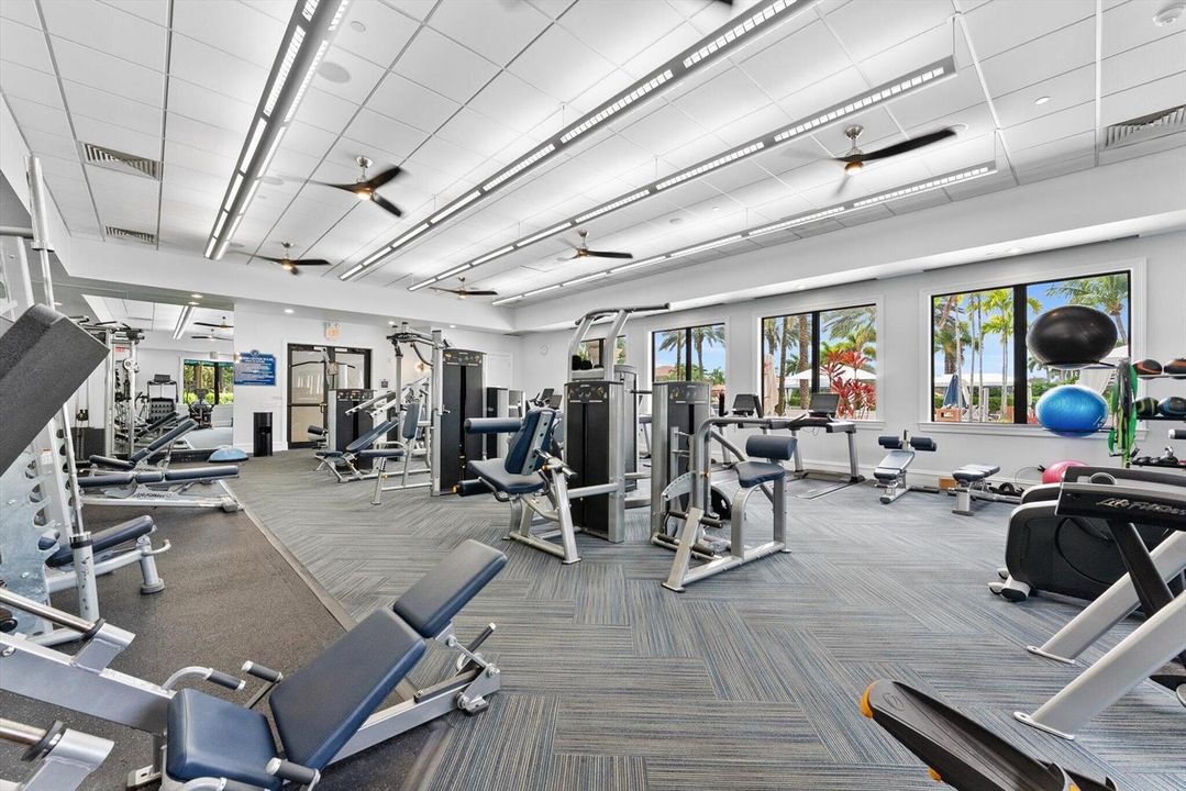 GYM