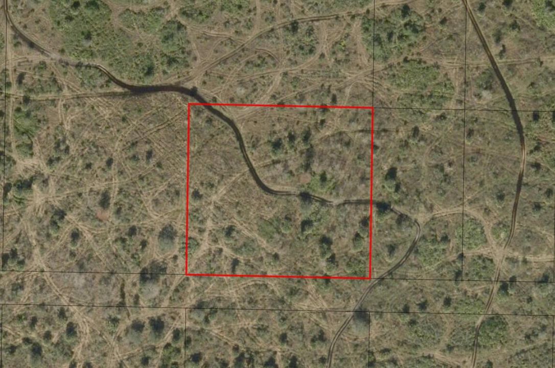 1 (1)