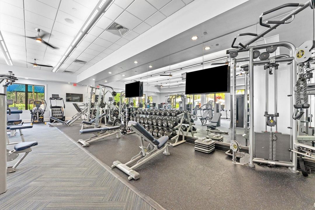 GYM