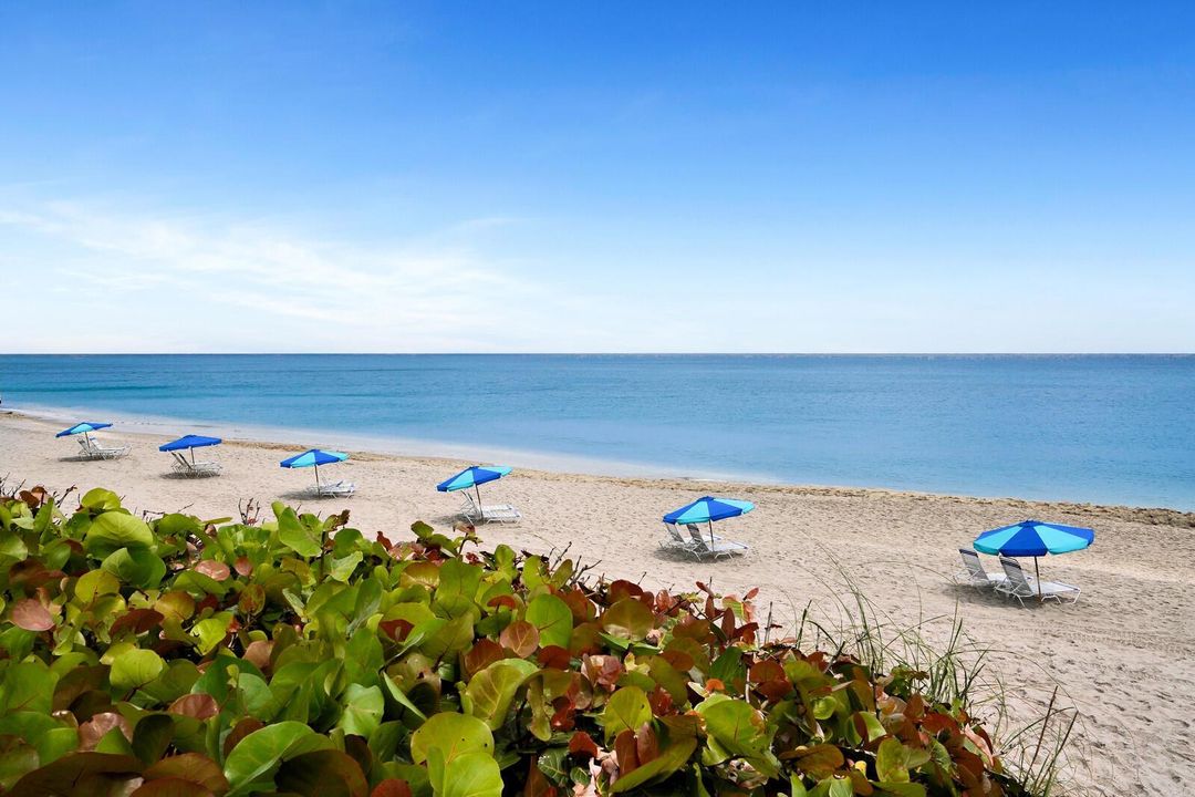 COTE BEACH CHAIRS