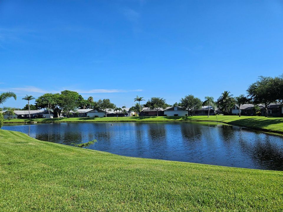 Community Grounds